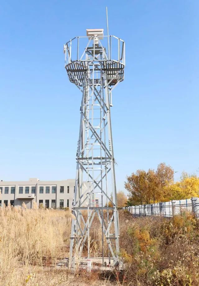 1610329741645479.jpg 1.jpg