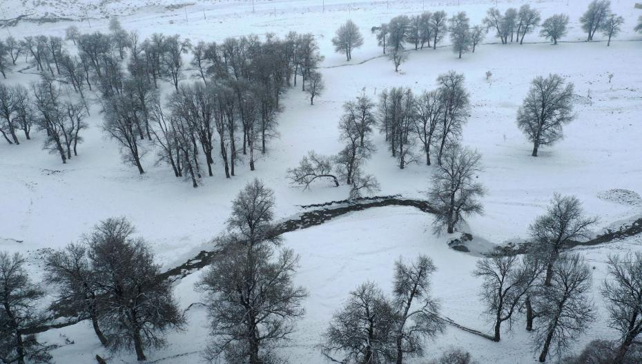 1610330478729310.png 2.png