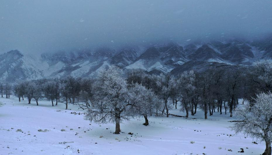 1610330485152410.png 3.png