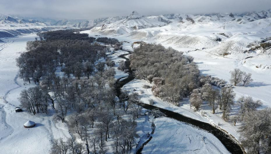 1610330492142261.png 4.png