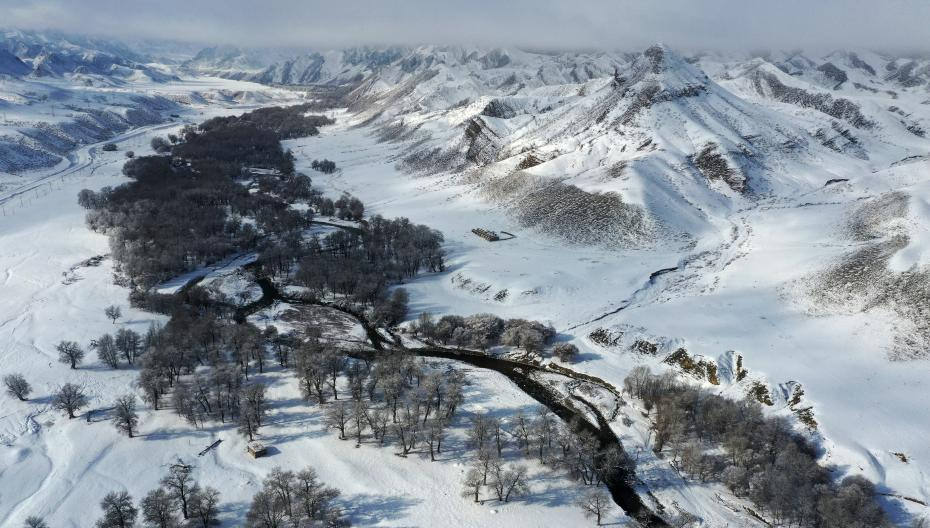 1610330499164087.png 5.png