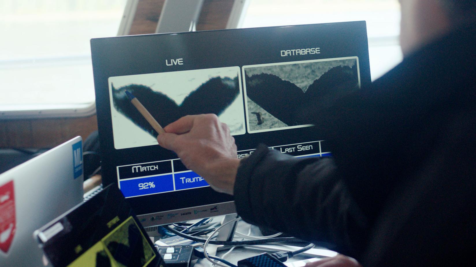 1618969368189390.jpg two-whales-drawings-16x9.jpg.rendition.intel.web.1648.927.jpg