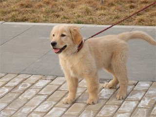 1618987285526507.jpg 20170815111523982.jpg