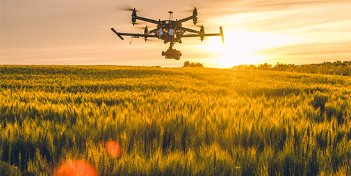 1628130429142781.jpg 未標題-3.jpg